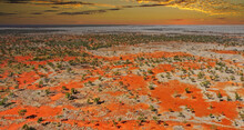 Outback Australia In The Sunset