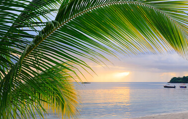 Wall Mural - Sunset at the beach in Negril, Jamaica, Caribbean, Middle America