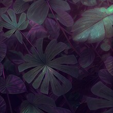  A Bunch Of Leaves That Are On A Wall In A Room With Purple Lighting And A Green Light Shining On The Leaves.