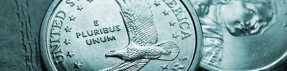Wall Mural - american coins closeup lie on dark surface of office table. soaring eagle sacagawea dollar coin. us 