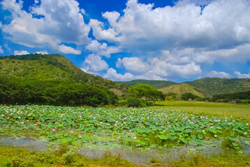 Wall Mural - View from the Venezuelan countryside