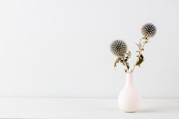 Wall Mural - Flower in vase on pastel wall background.