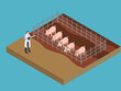 Male veterinarian working at the farm pig vector illustration