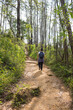 © Luiz Barrionuevo - Campos de Altitute na trilha do Pai Zé - SAO PAULO, SP, BRAZIL - NOVEMBER 13, 2022: Pai Zé Trail, which leads to the peak of Jaragua, in the Jaragua State Park, with vegetation called altitude fields.