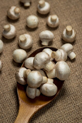 Poster - Small champignons on a background of burlap. Mushroom variety