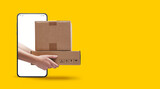 Fototapeta  - Express delivery service app on smartphone