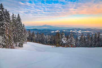 Wall Mural - Fresh prepared ski track in the forest at sunrise, Romania