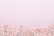 Leinwandbild Motiv Beautiful flower background of pink gypsophila flowers. Flat lay, top view. Floral pattern.