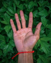 Vertical shot of a person's hand with a red bracelet over the green bush