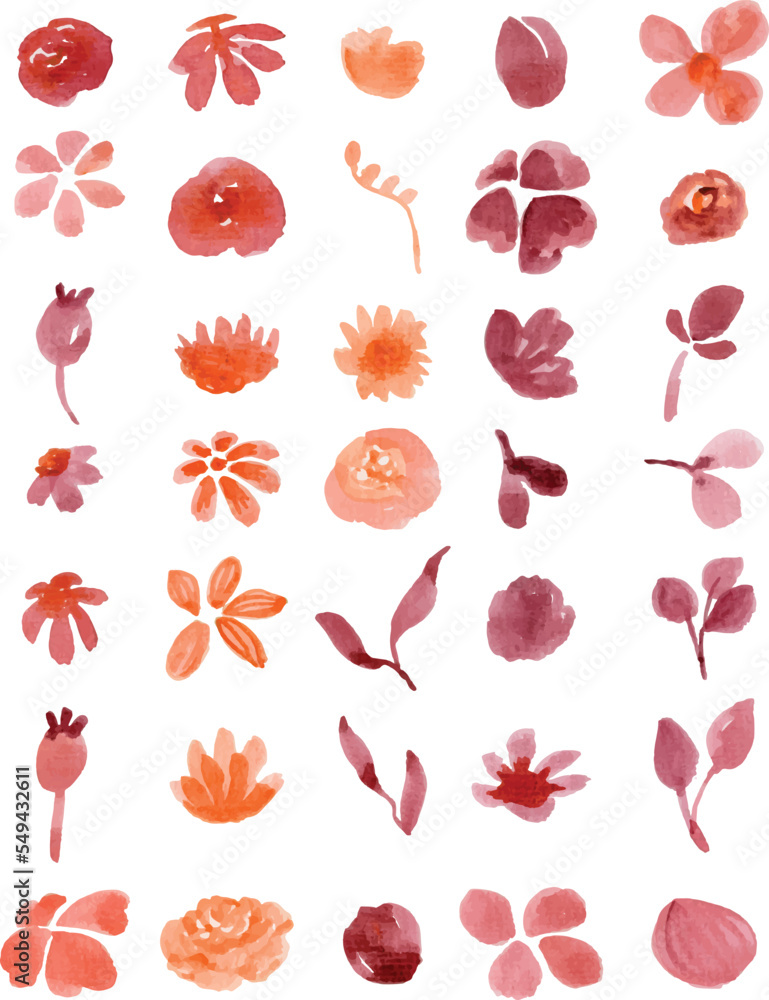 Set of watercolor floral elements isolated on white background. Loose ...