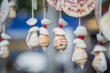 Wall Mural - Handmade souvenir decorated with different sea shells