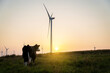 © salarko - Cow and wind turbines at sunset. Turbines affect livestock and farming, wind power and agriculture, environment problems, environmental impacts of dairy cattle, sustainability concept.