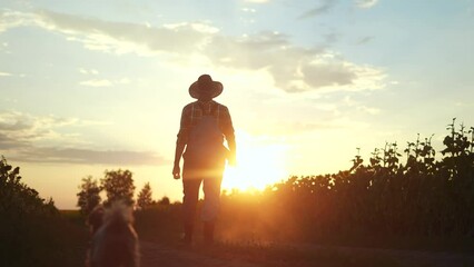 Sticker - farmer silhouette. a male farmer walk along a road among a field of sunflowers. farm agriculture business concept. man farmer working sun in a field of sunflowers. senior agriculture agronomist