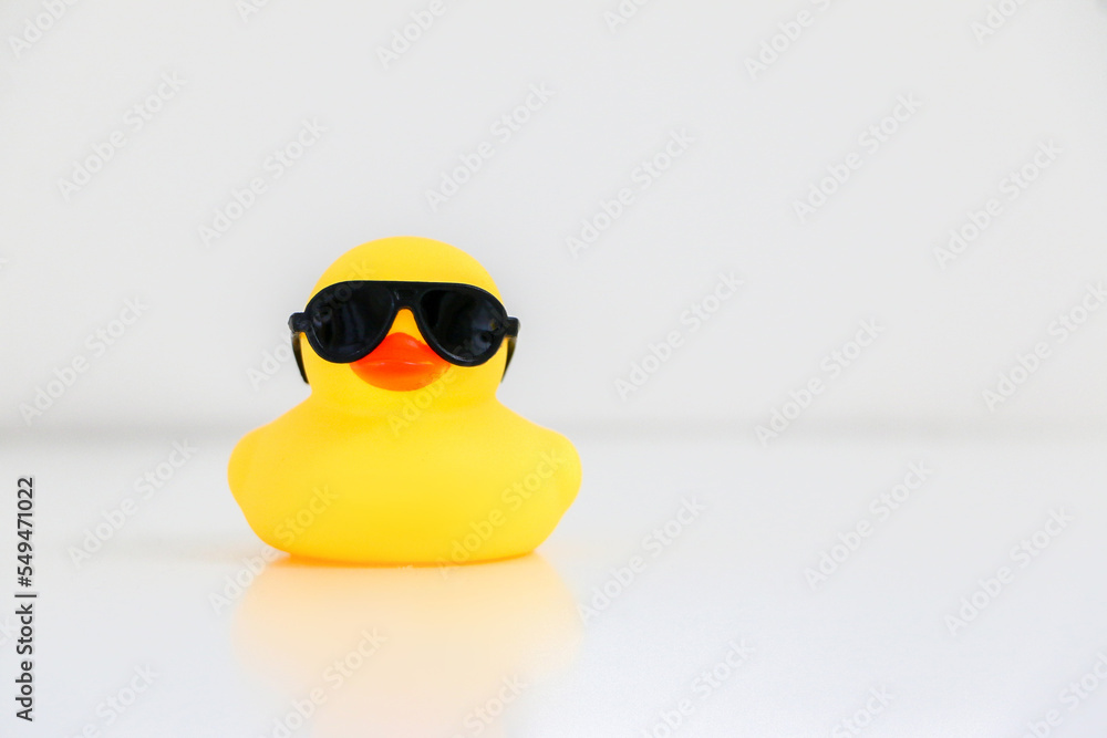 Cool little yellow rubber duck wearing black sunglasses, copy space on ...