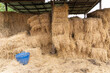 hay barn full of hay bale hay stack