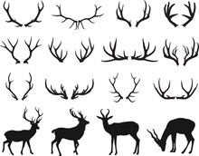 Deer Antlers Forest Animal Silhouette