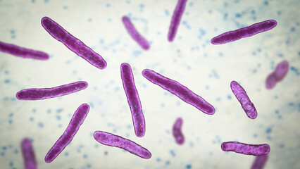 Poster - Bacteria Mycobacterium bovis, illustration