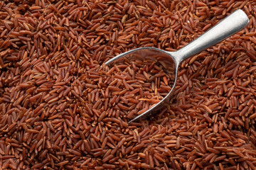 Wall Mural - Organic red rice full frame and a metal scoop close up full frame as background