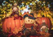 Cute Garden Toy Decorations With Pumpkins And Dry Autumn Leaves