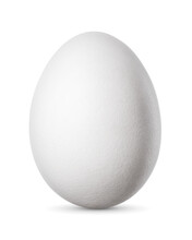 One Chicken Egg Isolated On White Background.