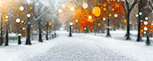 Color Snowflakes On Winter Park Background Snowfall