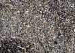 Closeup shot of small pebbles at the beach shore