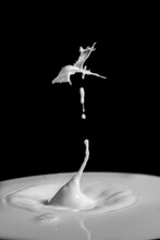 Drops Of Milk Colliding Formed Figures