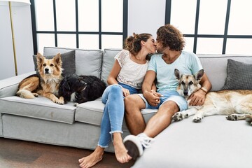 Wall Mural - Man and woman couple sitting on sofa with dogs and kissing at home