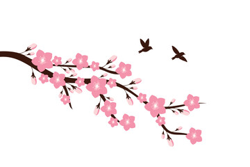 cherry blossom branch with sakura flower wall decoration concept. bird on branch wall decoration sti