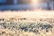 Macro Shot Of A Frozen Grass Field Under The Sunlight