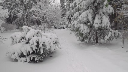 Canvas Print - Snowfall in the park. Vertical panning. Scenic winter season