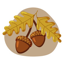Oak Branch With Acorns And Leaves. Flat Vector Illustration. Two Acorns On Branch Isolated.