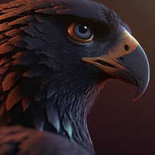 Ultra Realistic And Sharp Image Of A Black Hawk Bird
