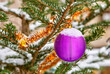 Christmas decorations on a coniferous tree