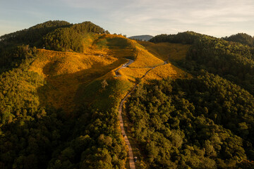 Landscape nature flower Tung Bua Tong Mexican sunflower field in Maehongson (Mae Hong Son),Thailand.