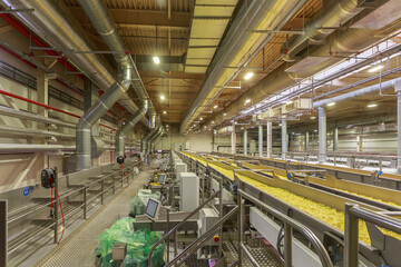 Wall Mural - Long conveyor line with golden chips.