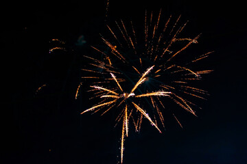 An explosion of bright single fireworks, against the background of the night sky.