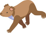 Fototapeta Dinusie - Moving koala icon isometric vector. Cute bear. Animal baby