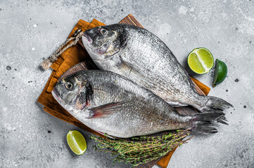 Wall Mural - Raw fresh organic dorado or sea bream fish on wooden board with herbs and lime. Gray background. Top view