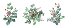 Watercolor Vector Set Of Bouquets Of Green Eucalyptus Branches And Holly Berry.