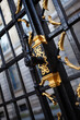Golden wrought iron of a French mansion gate
