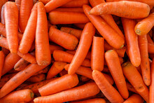 Close Up Of Carrots For Sale In Farmer's Market