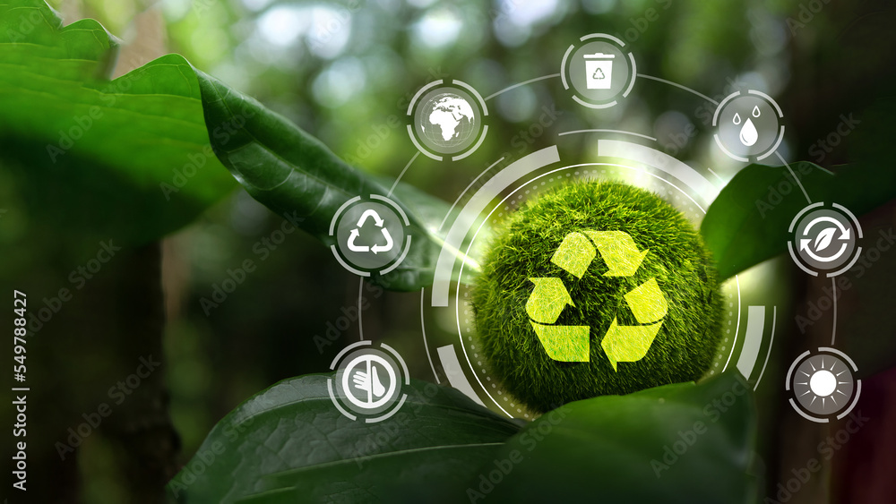 Zero waste,net zero concept. Carbon neutral. Climate neutral long term ...