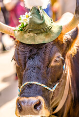 Sticker - nice cow with bavarian hat