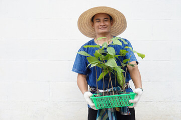 Asian man farmer holds green basket of young plants, prepare to grow in garden.  Concept , economic forest plantation. Gardening. Forest  and environment conservation. Go green for the world        