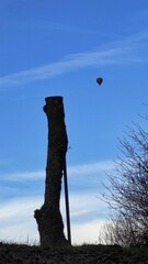 Wall Mural - Hot air balloon in the blue sky