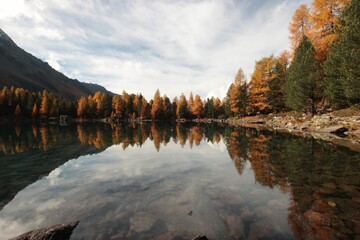 Canvas Print - Calm landscape of a lake with a beautiful autumn forest at the shore