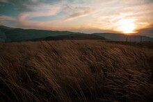 Scenic Shot Of High Grass Swaying In Wind With Drakensberg Mountain Range Background In Golden Hour