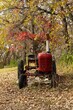 Old rural tractor in an autumn forest