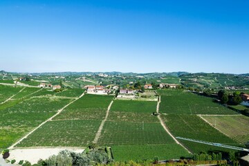 Wall Mural - View of the splendid hills of the Langa cultivated with vineyards from the ancient tower of Barbares